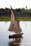 Felucca Segeln mit gepatchten, Nil, Ägypten.