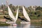 Trapezsegeln und Palmen Nil, Ägypten.