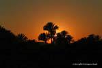 Nil bei Sonnenuntergang Licht, Ägypten.