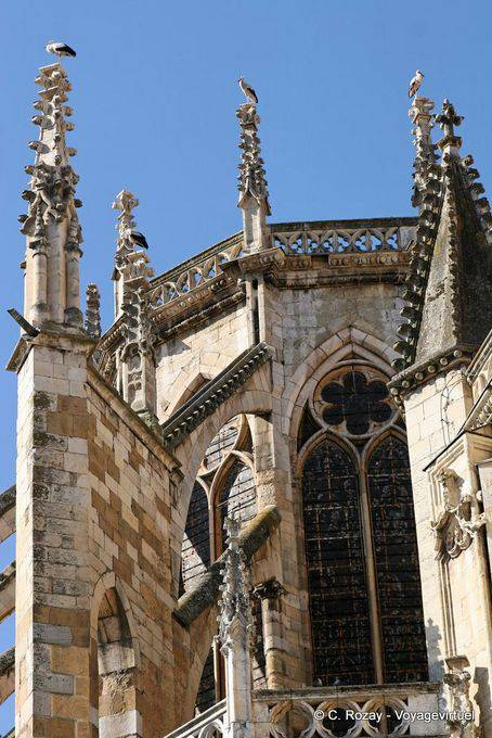 Störche auf Kathedrale von León - Spanien