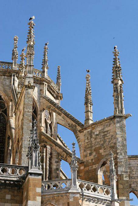 Ein weiterer Blick auf die Störche auf dem Stein Spitze, Notre Dame Kathedrale von Leon installiert - Spanien