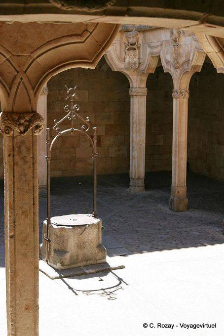 Shadow of the gut, Las Escuelas Menores, Salamanca - Spanien