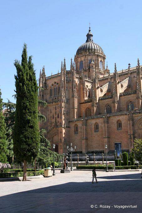 Gesamtansicht, Nueva Kathedrale der Himmelfahrt der Jungfrau Maria, Salamanca - Spanien