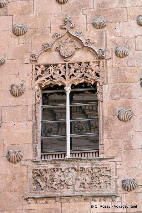 Reflection in Glas und Muscheln Casa de las Conchas, Salamanca - Spanien