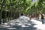 Paseo Espolon Arco in Richtung Santa Maria, Burgos, Spanien.