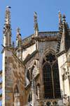 Störche auf Kathedrale von León, Spanien.