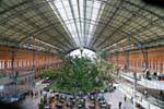 Madrid, tropischen Garten in den Bahnhof Atocha, Spanien.