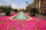 Murcia, Garten vor der Casa Consistorial, Spanien.