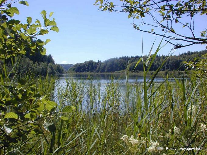 Lac du Petit Maclu, Wildnis, Jura - Franche-Comté, Frankreich