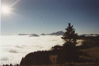 Fog in valley Alpen