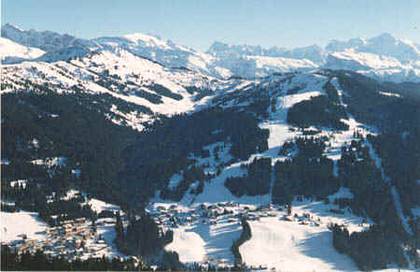 Ski Gets Alpen