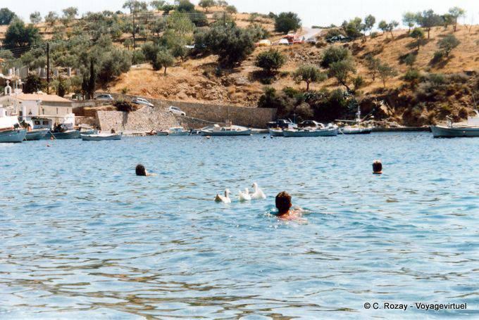 Schwimmen hinter den Enten, Sampatiki - Griechenland