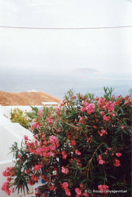 Rose Bouquet und Nebel auf dem Meer von Chora, Anafi - Griechenland