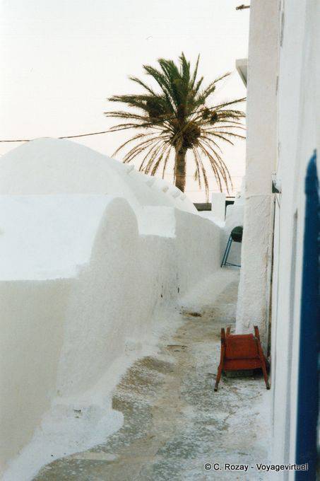 Palme auf Kalk, Chora, Anafi - Griechenland