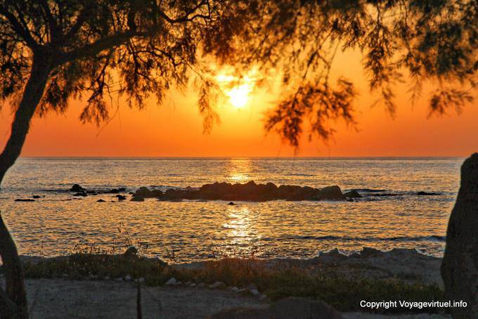 Milos, Pollonia, Sonnenuntergang auf einer Tamariske - Griechenland