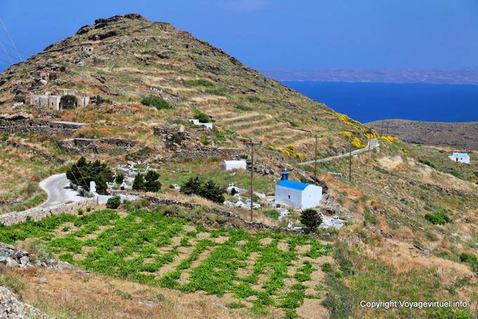 Serifos, Sikamia, Weinbergen und Hügeln - Griechenland