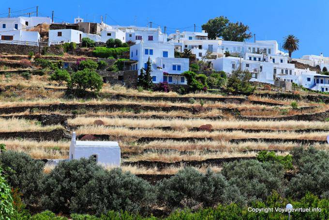 Sifnos, Felder und Häuser in Spalier, Kato Petali - Griechenland