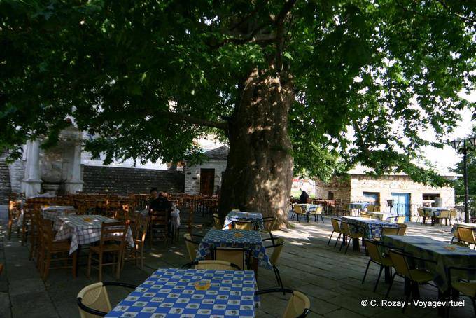 Terrasse unter einem riesigen Baum, Pinakates, Pilion - Griechenland