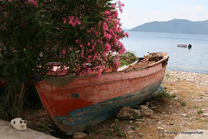 Die Katze und die alte Boot, Trikeri Agia Kyriaki - Griechenland