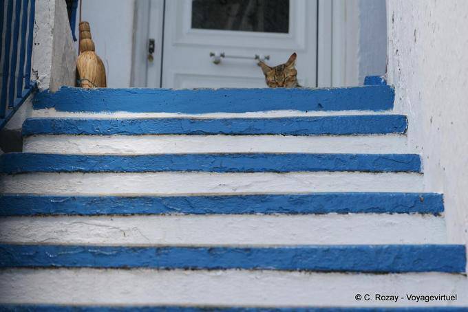 Katze auf der Treppe, Trikeri Agia Kyriaki - Griechenland