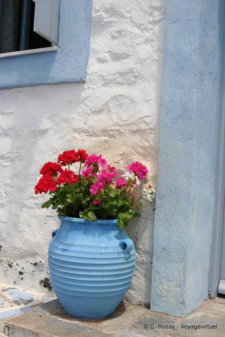 Pot Geranie, Trikeri Agia Kyriaki - Griechenland
