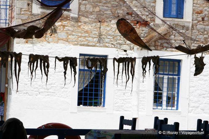 Octopus auf einem Draht, der getrocknet wird, Trikeri Agia Kyriaki - Griechenland