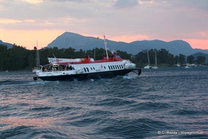 Fliegende Delphin in den Wellen, Poros - Griechenland
