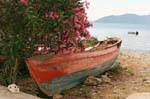 Die Katze und die alte Boot, Trikeri Agia Kyriaki, Griechenland.