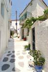 Steigende Spur, Poros, Griechenland.