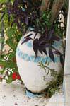 Painted Amphore Poros, Griechenland.
