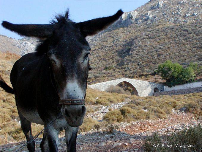 Ane Brücke, Hydra - Griechenland