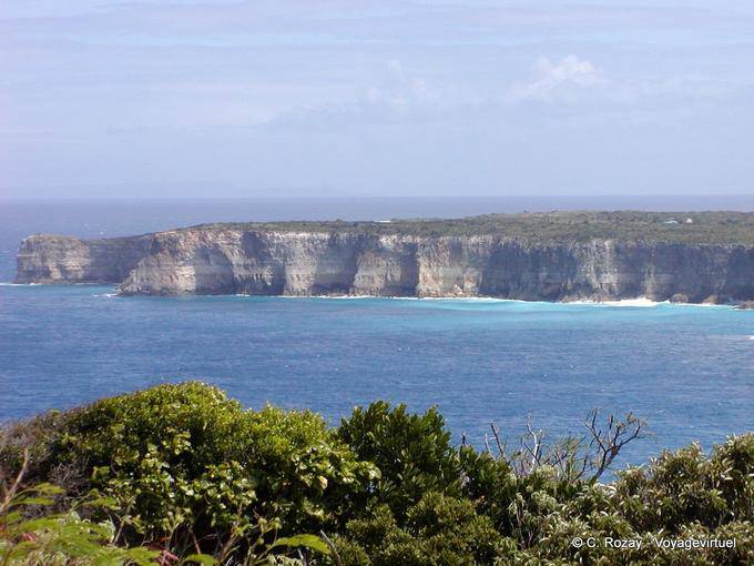 Die Kalkfelsen der Spitze der Grande Vigie - Guadeloupe