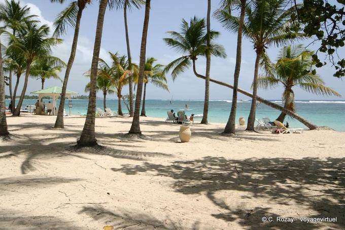 Unter den Kokospalmen, die Caravelle Beach, Sainte-Anne - Guadeloupe