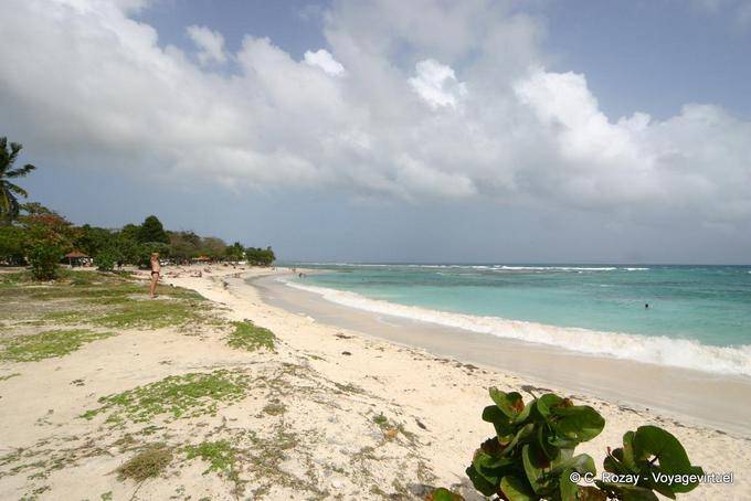 Am Strand, zwischen Saint-Anne und Saint-François - Guadeloupe
