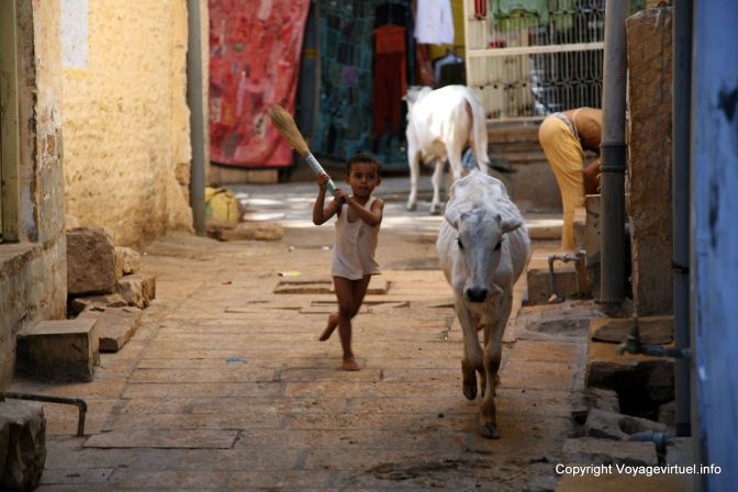 Jaisalmer Citadelle - Indien