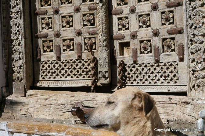 Jaisalmer Citadelle Chien Devant Porte - Indien