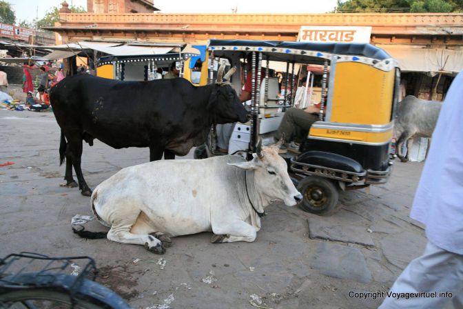 Jodhpur Old City Sardar Bazar - Indien