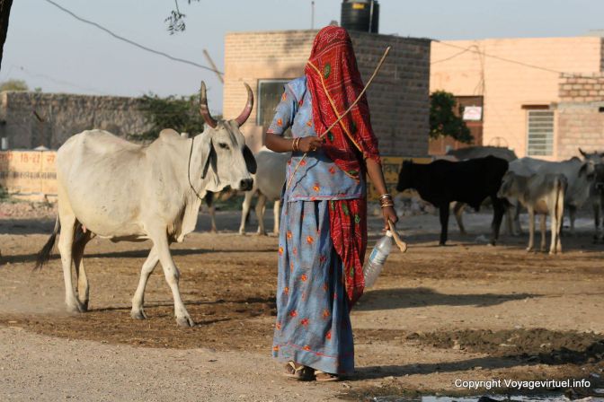 Luni In The City - Indien