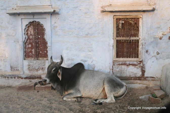 Luni In The City - Indien