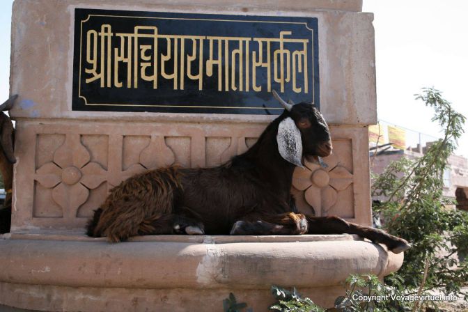Osyan - Indien