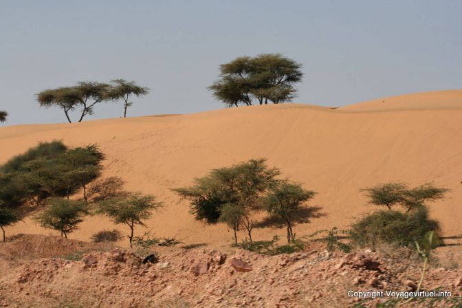 Pokaran Road Dunes Du Thar - Indien
