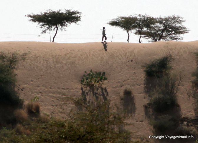 Pokaran Road Passant Du Desert - Indien