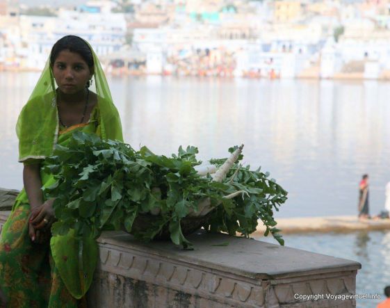 Pushkar - Indien