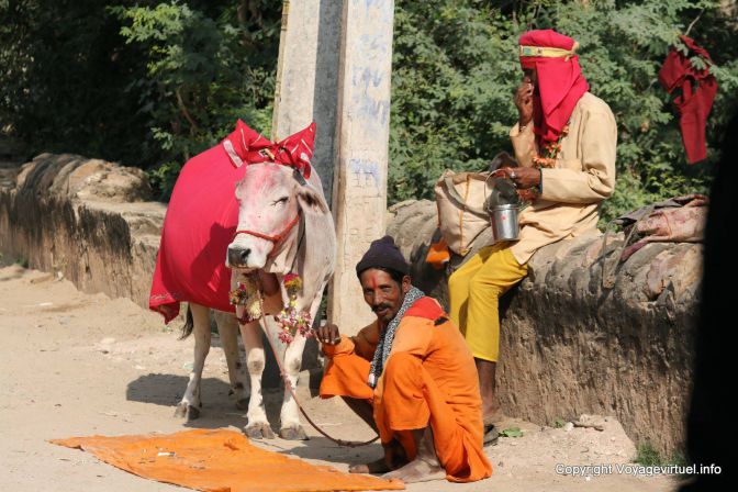 Pushkar - Indien