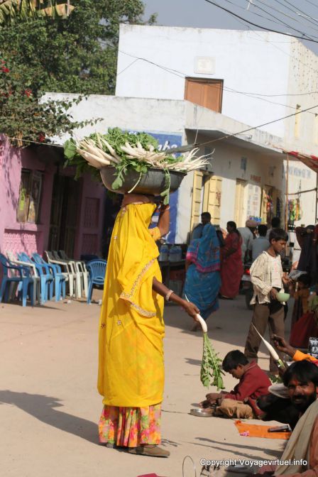 Pushkar - Indien
