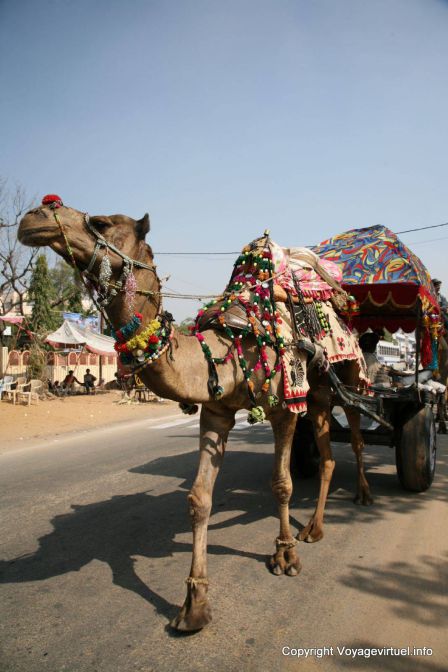 Pushkar - Indien