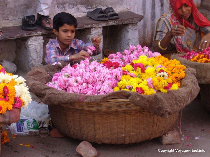 Pushkar - Indien