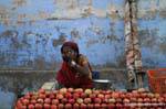 Pushkar.
