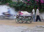 Pushkar.