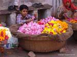 Pushkar.